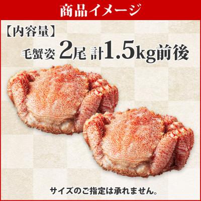 ふるさと納税 弟子屈町 【のし付】毛蟹 姿 2尾 計1.5kg前後 ボイル 蟹ハサミ・ガイド付 北海道 弟子屈町 2456 |  | 02