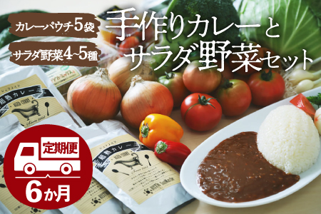 【全6回定期便】旬野菜×手作りカレーセット /ヒロファミリーフーズ[AGBX026] カレー 定期便