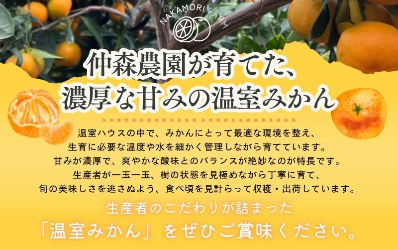 【数量限定】仲森農園の温室みかん 2.5kg 【2026年7月より順次発送予定（お届け日指定不可）】 みかん ミカン 蜜柑 温州みかん 温州ミカン 柑橘 フルーツ 果物 くだもの 産地直送 三重県 熊