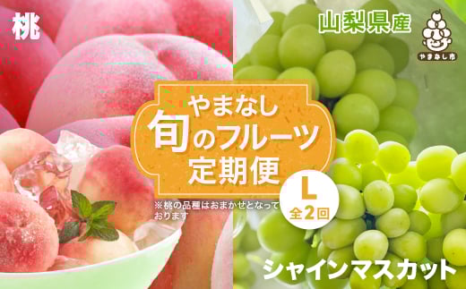 ＜発送月固定定期便＞やまなし旬のフルーツ定期便(桃・シャインマスカット)＜L＞全2回_ もも ぶどう ブドウ 山梨 フルーツ 果物 くだもの セット 贈答 ギフト プレゼント 送料無料 【4012929】