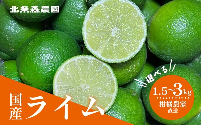 
                  さわやか果実  ライム 約1.5kg～約3kg  | ライム みかん 柑橘 国産ライム ジュース カクテル スイーツ サラダ 愛媛 松山 北条 果物 フルーツ 産地直送
                