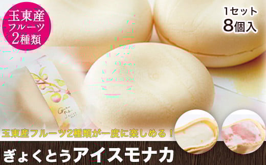 ぎょくとうアイスモナカセット★2種類8個入《60日以内に出荷予定(土日祝除く)》熊本県 玉東町 ぷらっとぎょくとう ハニーローザ モナカすもも 贈答 ギフト