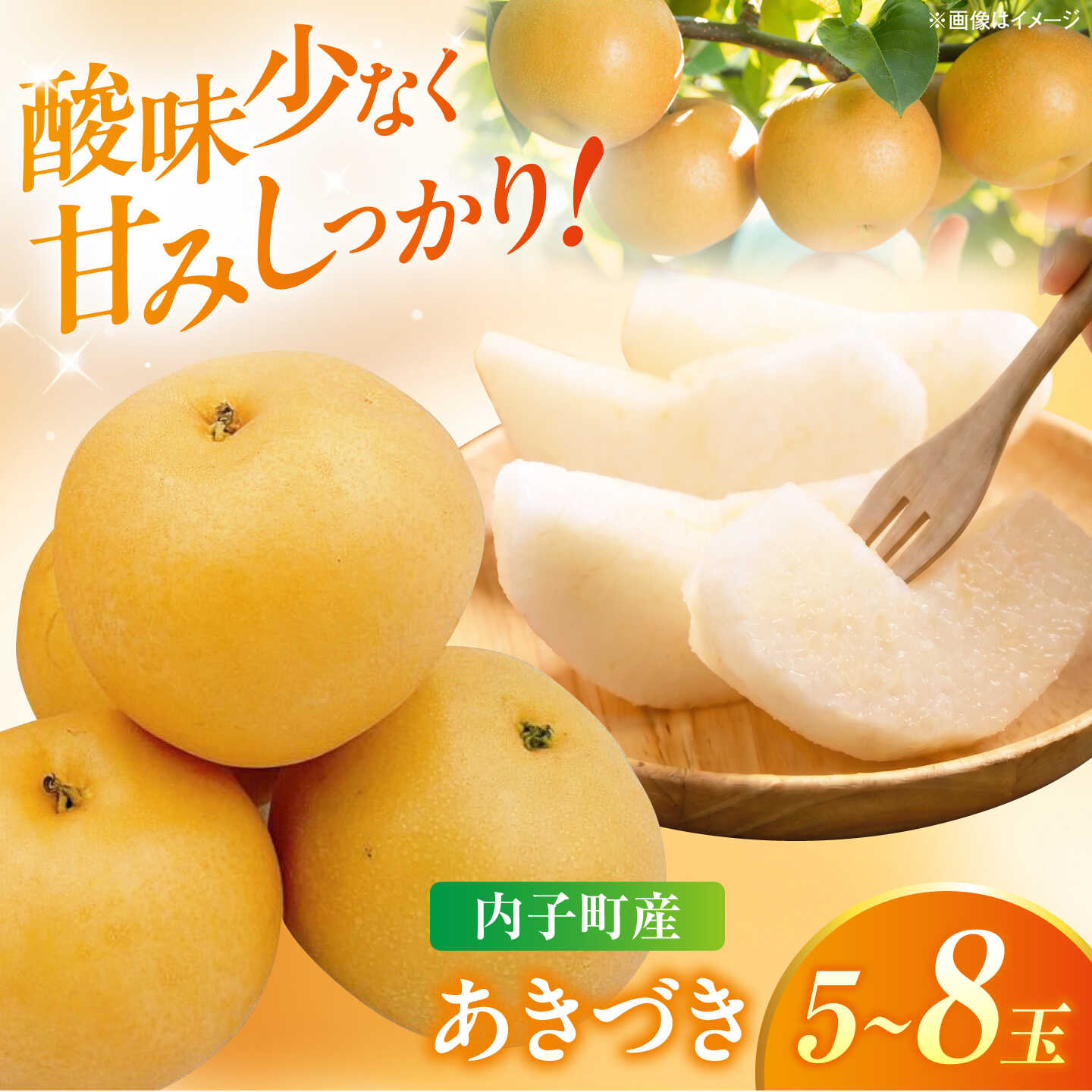 【ふるさと納税】【先行予約】 内子町産 あきづき梨 5-6玉 (9月上旬から9月下旬の間に順次発送) ／ なし ナシ 和梨 果物 フルーツ 国産 株式会社フジ・アグリフーズ BKAY035