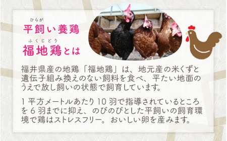 【月2回お届け】定期便 毎月数量限定！平飼い福地鶏「ふくたまご」 10個 （2パック） × 2回 [A-4934]