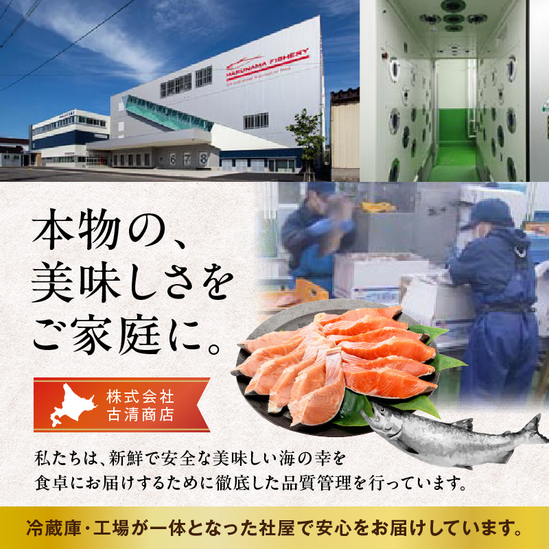 銀鮭切身 厚切り（100g）2切×6パック（12切） 1.2kg入_HD231-010