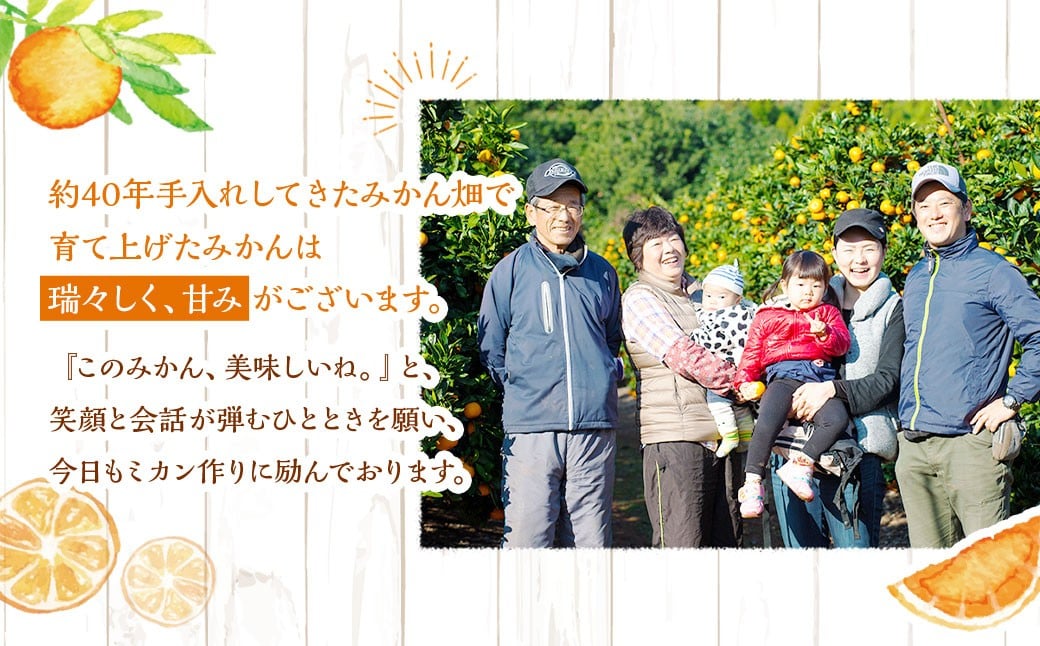 完熟 早生みかん 約5kg箱 柑橘 ミカン