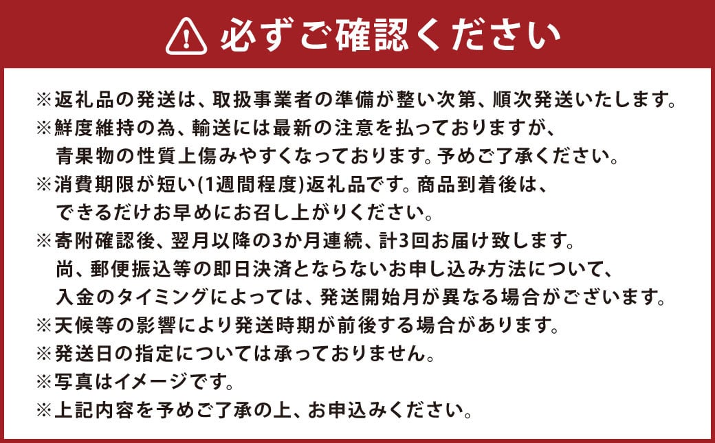 【3ヶ月定期便】熊本県フルーツ3ヶ月定期便