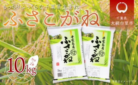 【新米】令和6年産  千葉県産「ふさこがね」10kg（5kg×2袋） A004