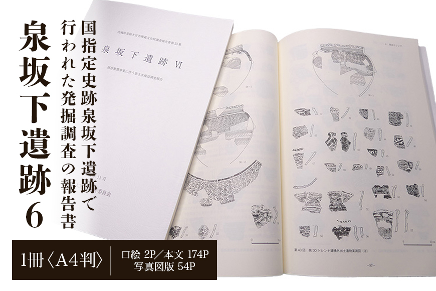 
                  泉坂下遺跡6 1冊 弥生時代 報告書 考古学 遺跡 発掘 調査報告書 歴史 資料 発掘調査 茨城県 【常陸大宮市教育委員会事務局文化スポーツ課】 【ho1314】
                