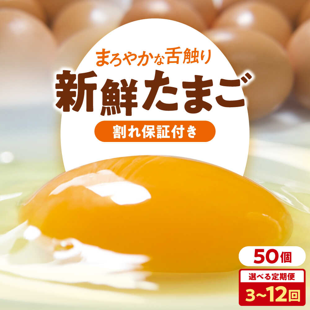【ふるさと納税】選べるお届け回数！ 卵 平飼い 海草たまご 5パック（50個入り）割れ保証あり 愛媛県大洲市/和田養鶏場 卵 定期便 卵かけご飯 平飼い たまご タマゴ 鶏卵 卵料理 玉子 [AGDQ008]