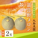 【ふるさと納税】富良野メロン　赤肉2玉　北海道富良野市『大島農園』_ メロン めろん ふらのメロン 赤肉 赤肉メロン 北海道 富良野市 富良野 ギフト お中元 プレゼント ふるさと 【1261685】