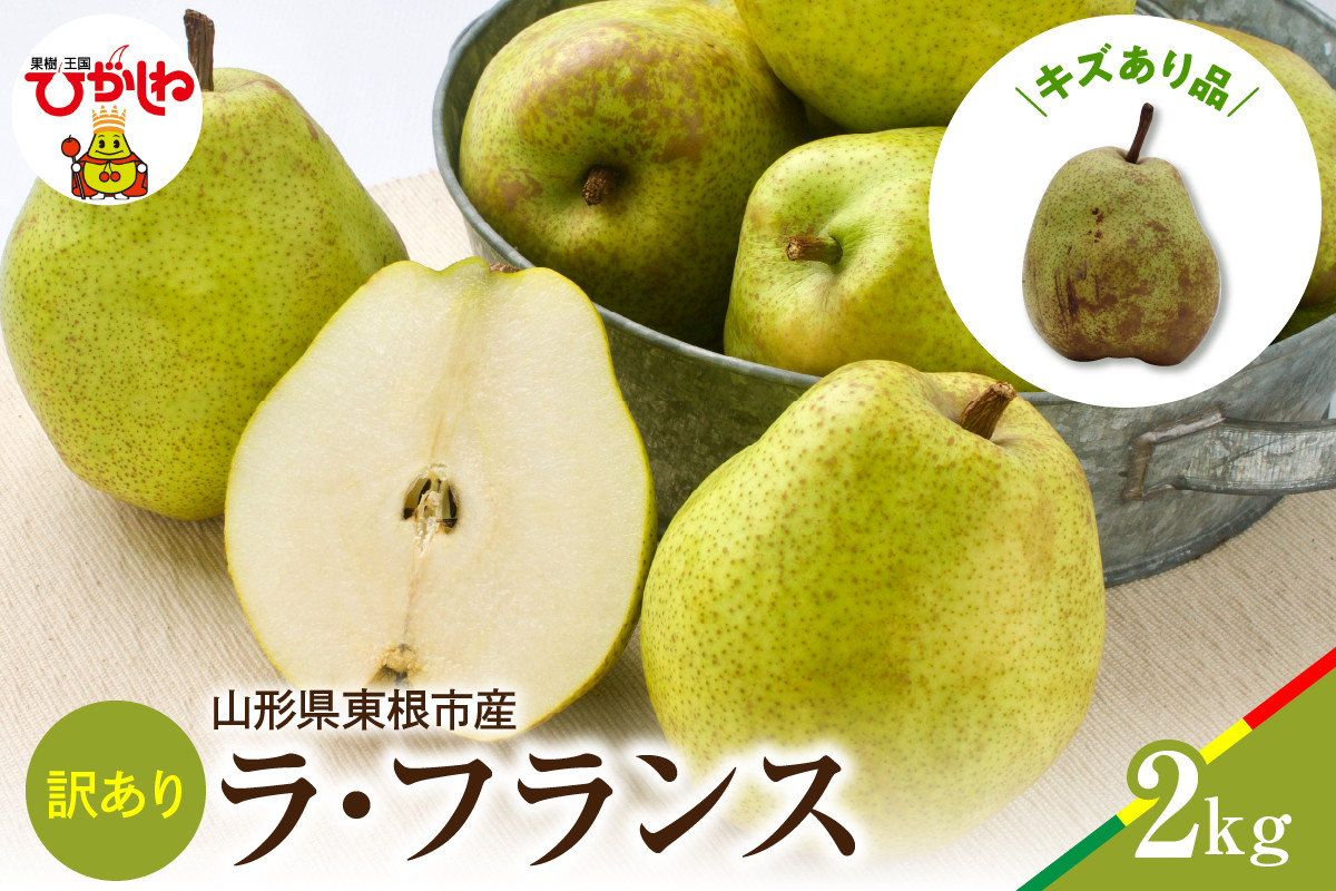 
            【2025年産 先行予約】ラフランス訳あり2kg 松栗提供 山形県 東根市 hi004-hi062-043-1
          