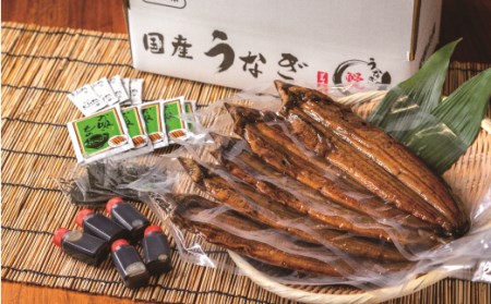 国産うなぎ 関西風蒲焼 大サイズ５枚(合計約750g)薬味付【串本グルメ市場】 【miw107】