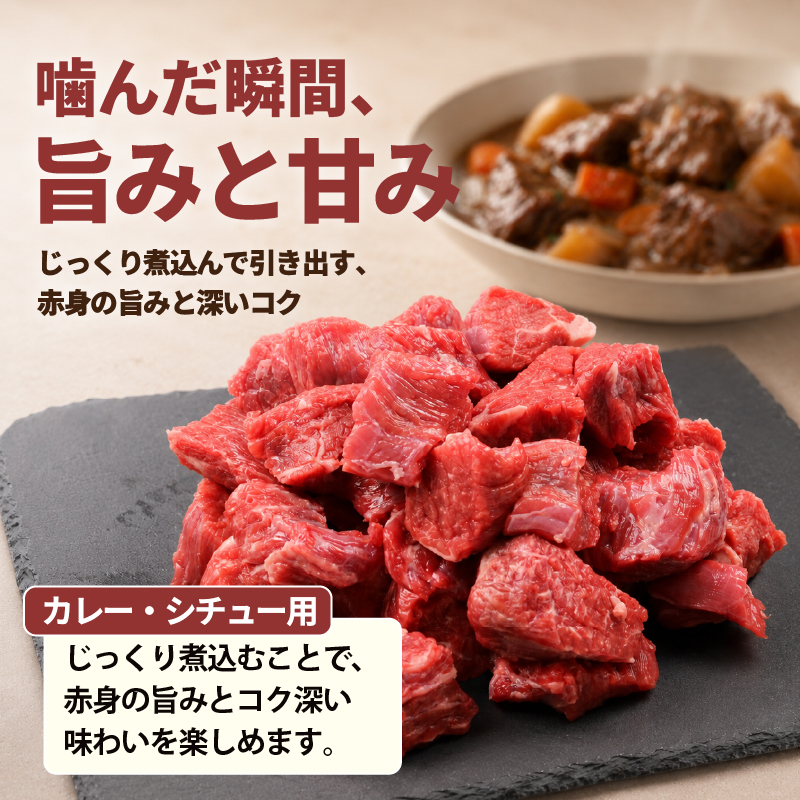 土佐 あかうし 赤牛 赤身 スネ・ネック サイコロカット カレー・シチュー用 600g | 和牛 あか牛 アカウシ 牛肉 希少 ブランド 国産 プレゼント ギフト 冷凍 贈答 高知県 南国市