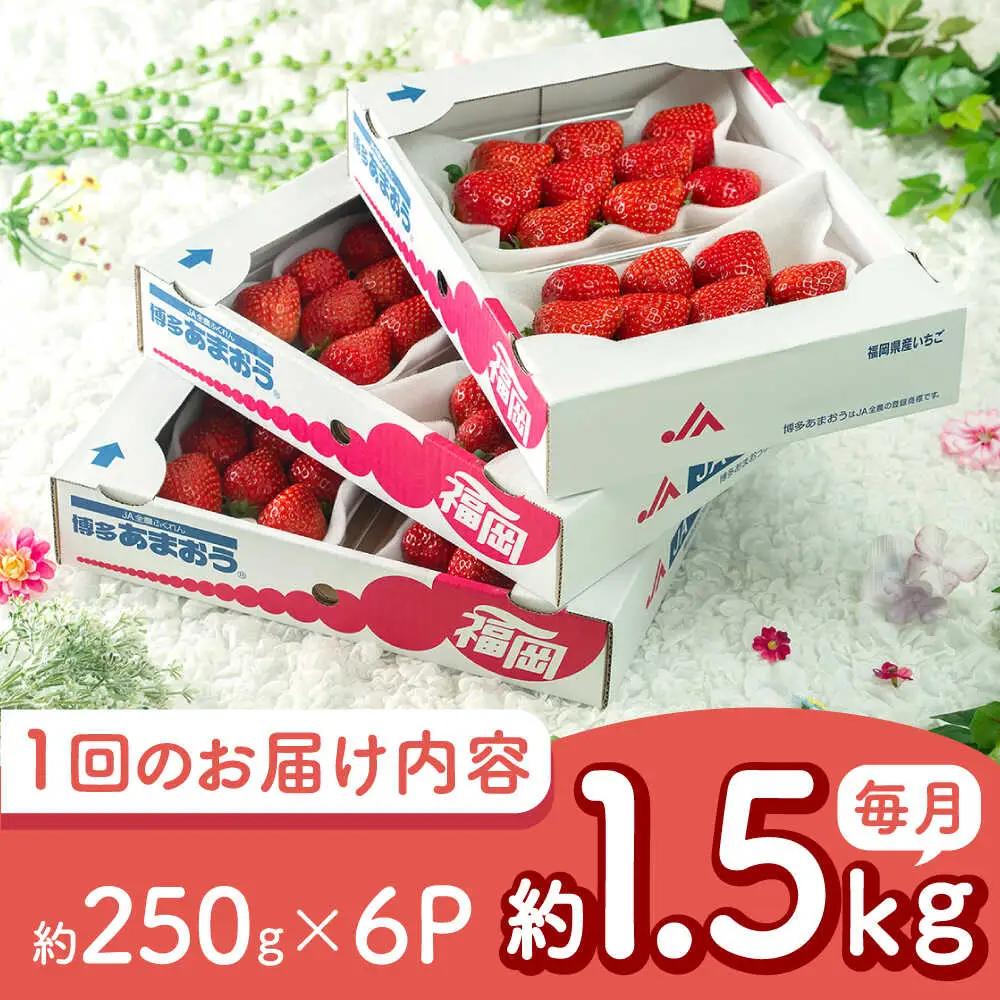 【全2回定期便】福岡産 春あまおう 250g×6P BGAG052 あまおう