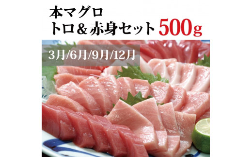 【3か月定期便】うなぎ･高級和牛･マグロ　人気返礼品を3回お届け♪【tkb104】【tkb104】
