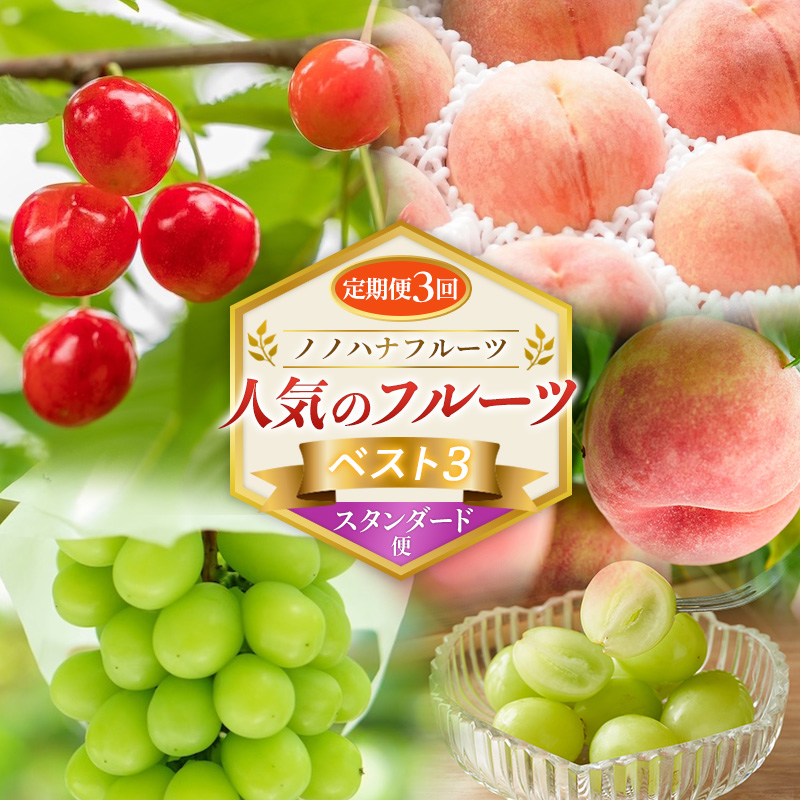 【定期便3回】ノノハナフルーツ 人気のフルーツベスト３ スタンダード便 FY26-223