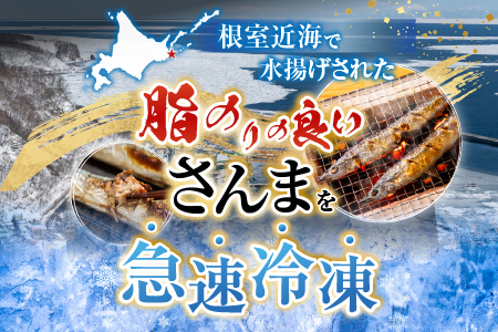 【北海道根室産】冷凍さんま20尾入り A-36003