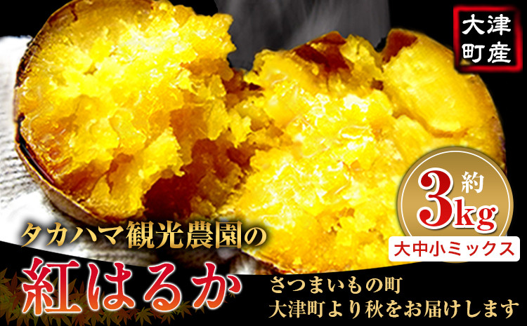 
            熊本県 大津町産 タカハマ観光農園 の 紅はるか 約 3kg 大中小ミックス《2026年1月上旬-6月末頃出荷》 さつまいも 芋 スイートポテト 干し芋にも
          