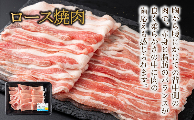 MCBY4-26 宮崎県産 豚肉詰め合わせ 焼肉セット（合計2.6kg）