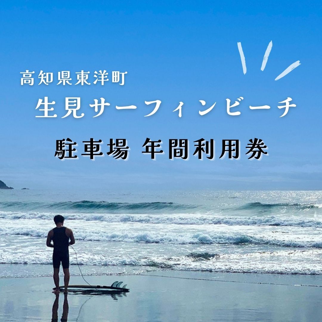 【ふるさと納税】LS001 駐車場年間利用券 高知県東洋町生見サーフィンビーチ 温水コインシャワー完備 水道利用可能