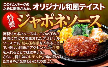 特製ジャポネソースハンバーグ 150g×20個 国産牛肉使用 《7-14営業日以内に出荷予定(土日祝除く)》 冷凍 大容量 玉東町 国産 肉 牛肉 豚肉 返礼品 温めるだけ 小分け 簡単 調理 特製 