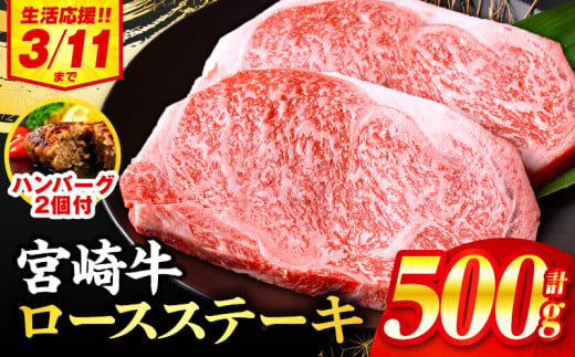 【2025年5月発送】【期間・数量限定】宮崎牛ロースステーキ250g×2・合挽きハンバーグ100g×2個_M132-014-B-may