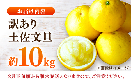 【先行予約】高知県産 訳あり 土佐文旦 約10kg 〈2025年2月～発送〉 / 傷 シミの訳あり 大容量 ぶんたん 文旦 訳あり わけあり 果物 【株式会社　四国健商】[ATAF038] 支援 支援