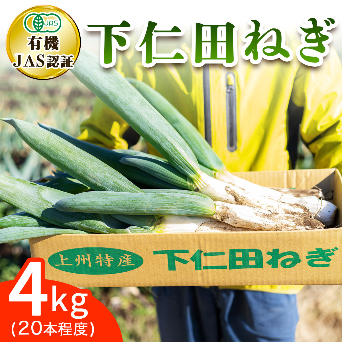 [有機JAS認証] オーガニック下仁田ネギ (4kg,20本程度)｜数量限定 有機栽培 下仁田ねぎ 鍋 すき焼き 葱 殿様ねぎ 冬ギフト 贈答 御歳暮 お歳暮 かき揚げ 産地直送 甘楽町 先行予約 [0175]