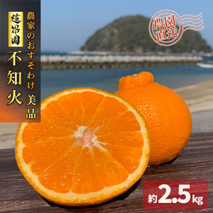 【先行予約】 【先行予約】【3月上旬から発送】 不知火(デコポンと同一品種) 美品 約 2.5kg | 不知火(デコポンと同一品種) 美品 約 2.5kg |みかん ミカン 柑橘 蜜柑 果物 くだもの フルーツ おすすめ 人気 お取り寄せ グルメ ギフト 期間限定 数量限定 ご当地 愛媛県 松山市 蓮果園【RNK022】