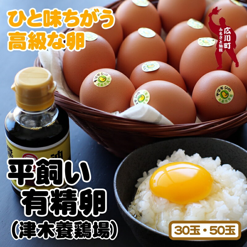 【ふるさと納税】 卵 平飼い高級 有精卵 （Lサイズ） / 平飼い 鶏卵 高級卵 高級食材 玉子 たまご ギフト 贈答 贈り物 高級 贈答卵 プレミアム 食品 //vegi