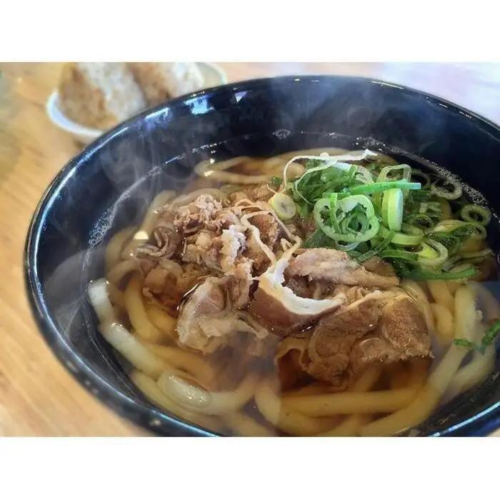 うどん 定期便 3ヶ月 肉うどん 4食 セット ウエスト 博多 冷凍 うどんセット 博多うどん 冷凍うどん 冷凍食品 麺類 ご当地グルメ お取り寄せ 小分け 個包装 福岡 福岡県 福岡市 定期 3回