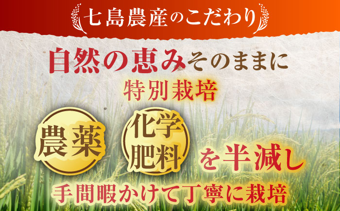 【全5回定期便】令和7年産 ななしま家 さがびより5kg×2袋 / 白米 米 特別栽培 / 佐賀県 / 有限会社七島農産 [41AHAC008]