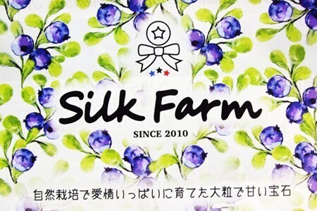 【期間限定】粒ぞろいのブルーベリー　600g
