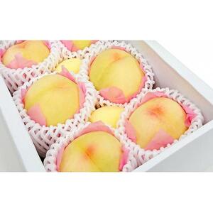 岡山の桃　白桃5～6玉（約1kg） [No.5220-0124]