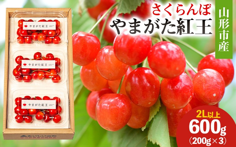 
            山形市産 さくらんぼ(やまがた紅王)2L以上 600g(200g×3) 【令和8年産先行予約】FS25-051
          
