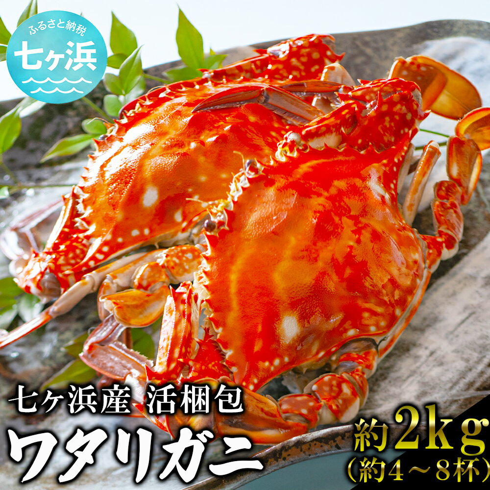 【ふるさと納税】 先行予約 (2026年10月～発送) 活 梱包 ワタリガニ 2kg (約5〜8杯) 七ヶ浜産 かに カニ 蟹 渡り蟹 ガザミ 旬 新鮮 パスタ ボイル 海鮮 ケジャン 味噌 蟹肉 鍋 おつまみ 日本酒 グルメ 高級 国産 ごはん 宮城県 七ヶ浜町 ｜nn-wg02-R8