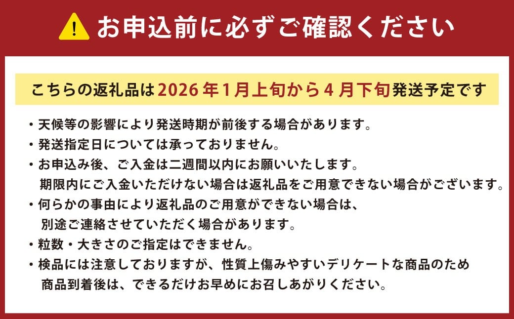フルーツトマト 糖度7度以上 農薬不使用（栽培期間中） 水耕栽培 産地直送 高リコピン 橘農園