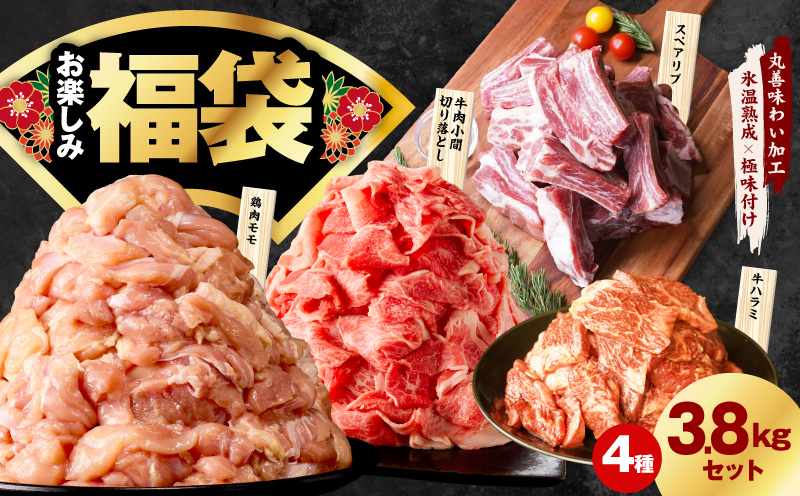 肉福袋 4種 3.8kg 焼肉セット（牛肉 切り落とし／牛ハラミ／豚肉 スペアリブ／鶏肉）【氷温熟成×極味付け 焼くだけ 食べ比べ ふくぶくろ お楽しみ 簡単調理 大阪 泉佐野 大阪府 泉佐野市】