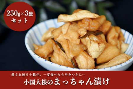  地元で愛され続けて10年以上！まっちゃん漬けセット 3袋 250g まっちゃん漬け セット 小国大根 漬け物 漬物 大根 ごはんのお供 ギフト 贈答用 熊本 阿蘇 南小国町 送料無料