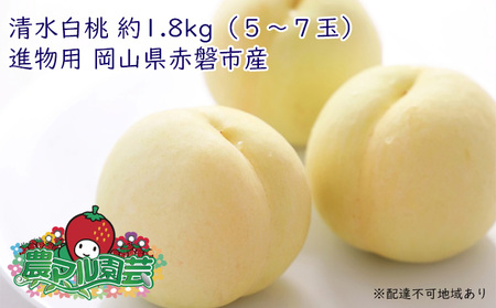 桃 2024年 先行予約 清水 白桃 約1.8kg  5～7玉 進物用 もも モモ フルーツ 果物 岡山 赤磐市産 農マル園芸 あかいわ農園