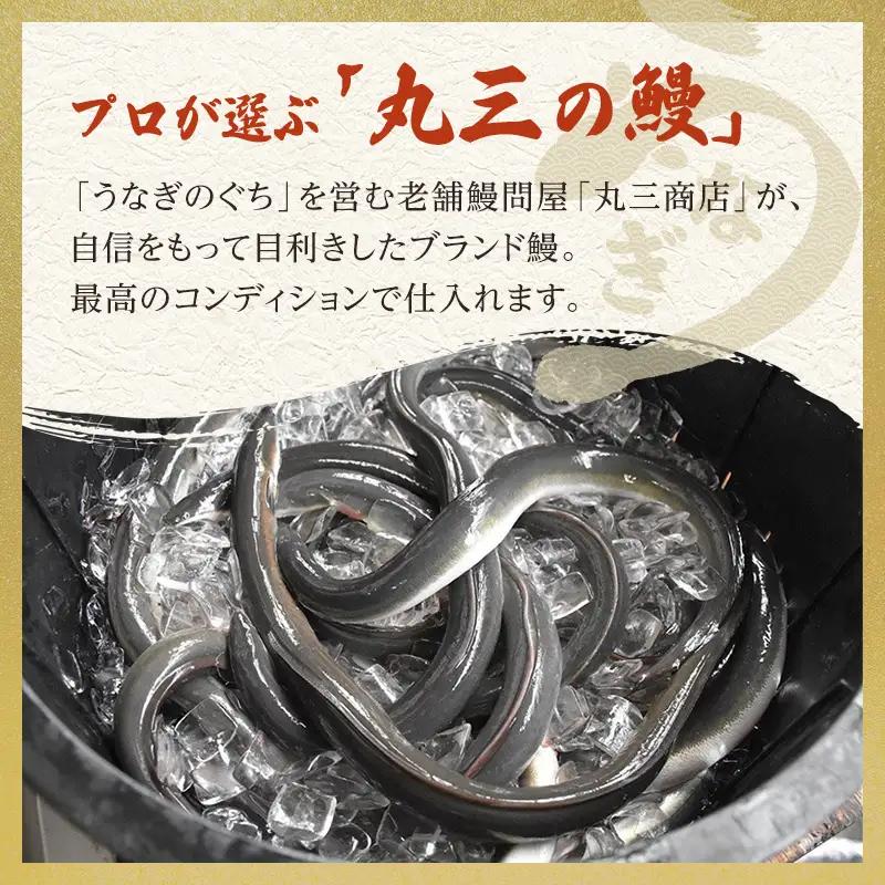 うなぎ 蒲焼 カット 国産 10枚 うなぎ