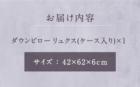 ダウンピロー リュクス 枕 羽毛 まくら ホワイトダウン70％ 無地 ホワイト《壱岐市》【富士新幸九州】 [JDH065] 48000 48000円 