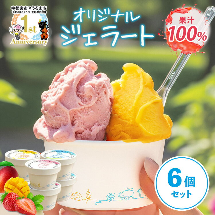 【ふるさと納税】ユアジェラート 宇都宮市×うるま市 友好都市記念 オリジナルジェラート 6個セット｜とちあいか いちご マンゴー きび糖 沖縄 琉球 人気 ジェラート 詰め合わせ アイス スイーツ 果汁100% フルーツ プレゼント ギフト 送料無料
