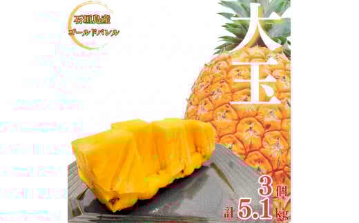【先行予約】《2025年夏季 順次発送》ゴールドバレルパイン 大玉3個入り 計5.1kg 【 産地直送 沖縄 石垣 フルーツ パイナップル パイン ゴールドバレルパイン 】SI-40