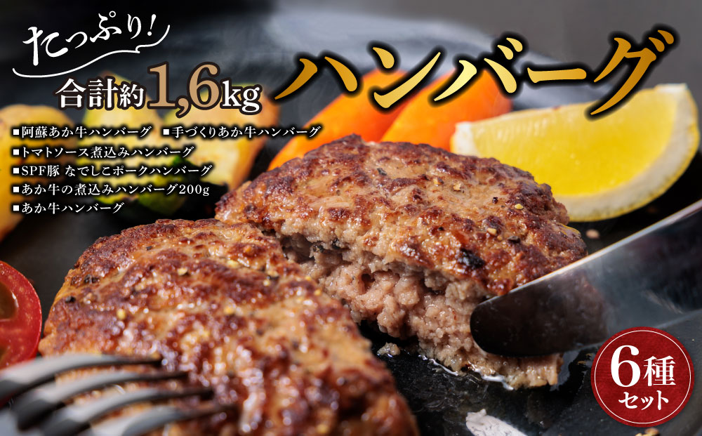 ハンバーグ バラエティーセット 6種類 約1.6kg あか牛 牛肉 豚肉 トマト 煮込み 詰め合わせ 食べ比べ 贅沢 豪華 人気 美味しい ジューシー 熊本 阿蘇