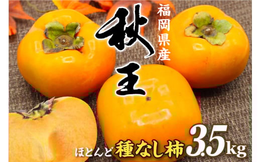 【先行予約】【2026年収穫分 先行受付!】福岡県ブランド　高級柿【秋王】3.5kg【JAほたるの里】_HA1352