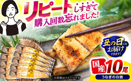 【最速発送】＜諫早淡水＞うなぎ白焼き10尾 / うなぎ ウナギ 鰻 白焼き 白焼 しらやき 国産 冷凍 小分け / 諫早市 / 活うなぎ問屋 諫早淡水 [AHAT010] スピード 最短 最速 発送 