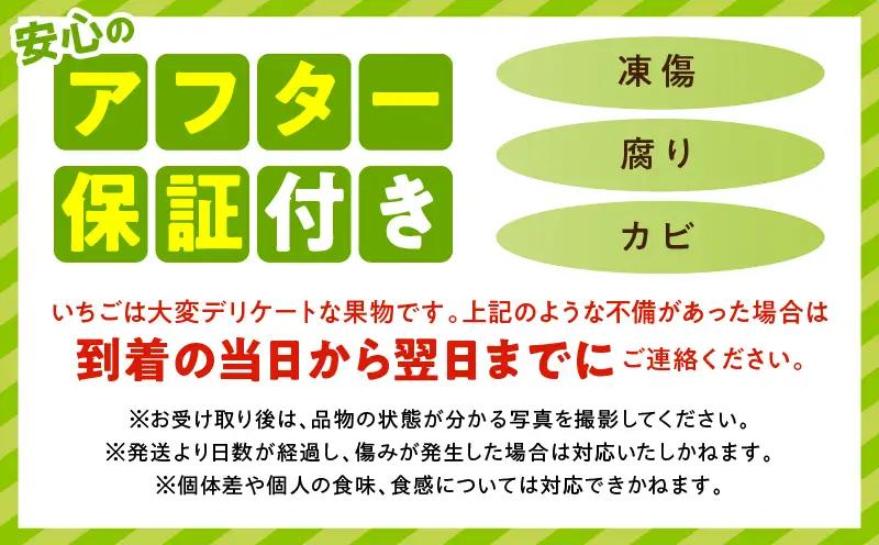 【先行予約】苺音ラグジュアリー～冬の大粒さぬきひめいちご～　約850g | スイーツ いちご イチゴ ストロベリー さぬきひめ さぬき姫 苺 冷蔵 フルーツ 旬 果物 香川県 デザート 青果物 おすす