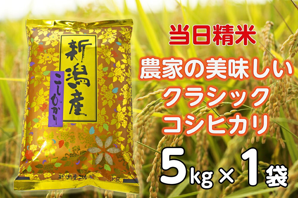 【ふるさと納税】【令和7年産】 当日精米! 農家直送 美味しい クラシックコシヒカリ 5kg 精米 白米 水原町農産センター